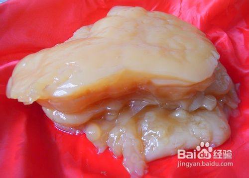 灵芝肉是什么和灵芝一样吗