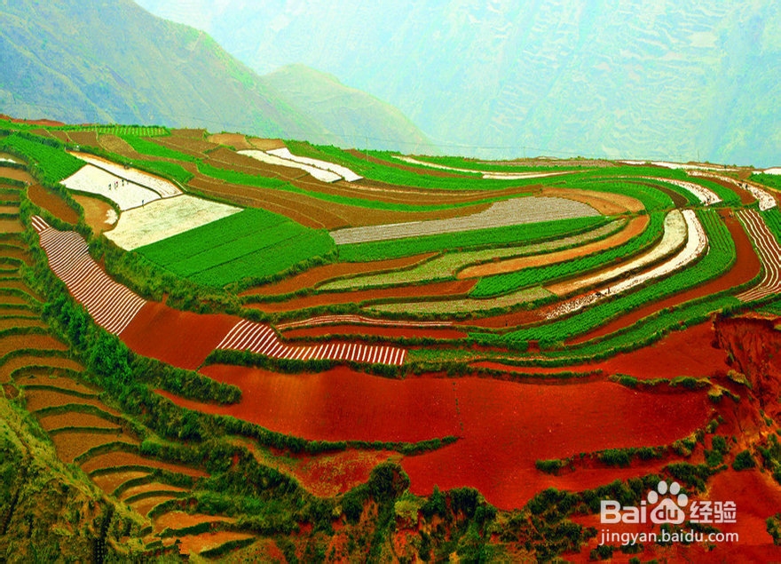 色彩斑斓的童话世界 东川红土地