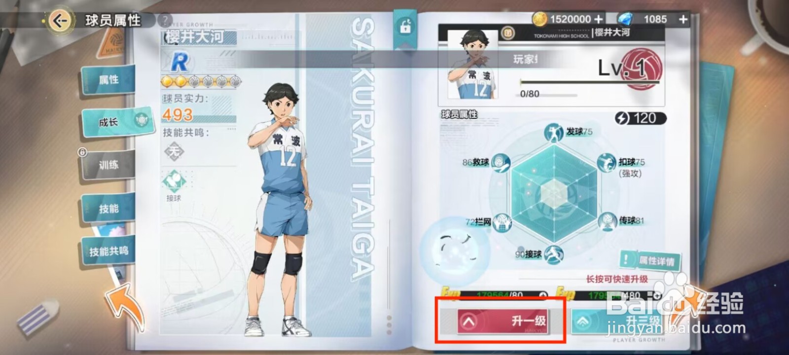 排球少年新的征程如何提升樱井大河等级？