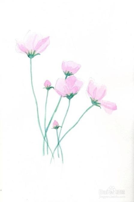 学好初中数学方法