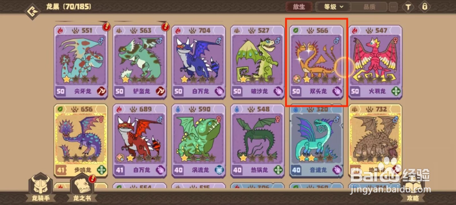 驯龙高手旅程双头龙如何穿戴装备？