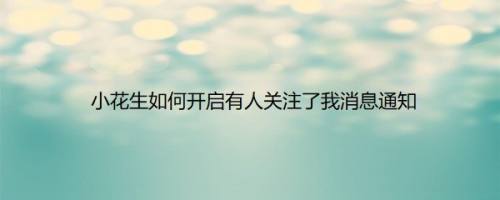 小花生如何开启有人关注了我消息通知