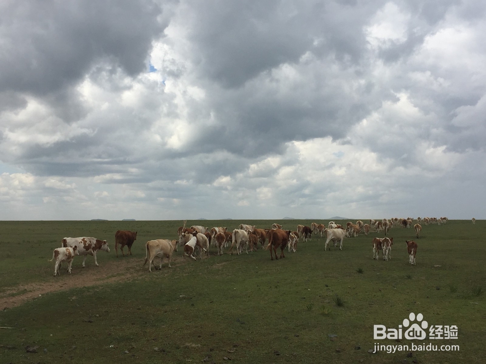 暑假内蒙七日游