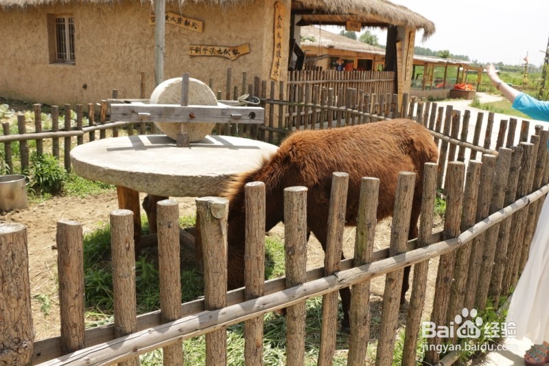 南京春秋游地点推荐