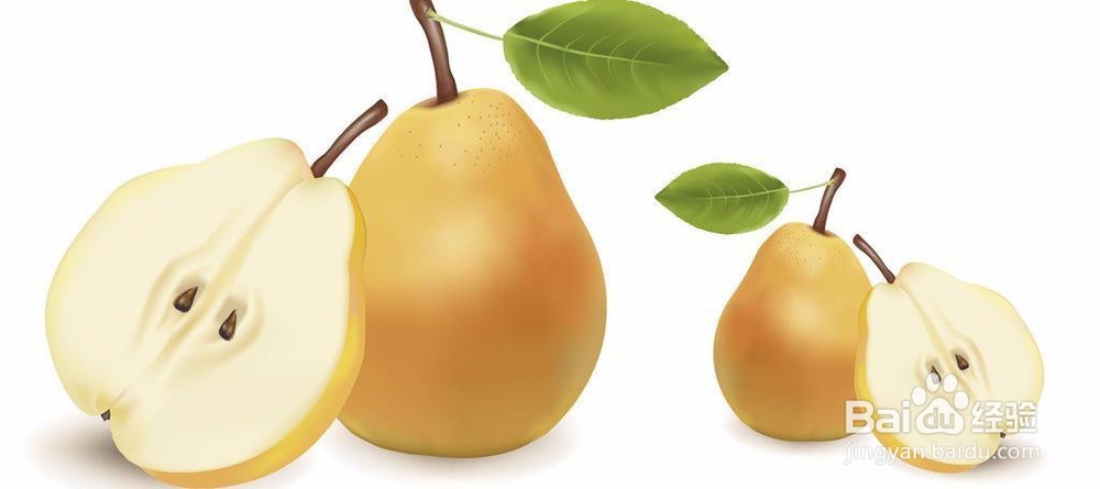 润肺止咳吃什么食物好