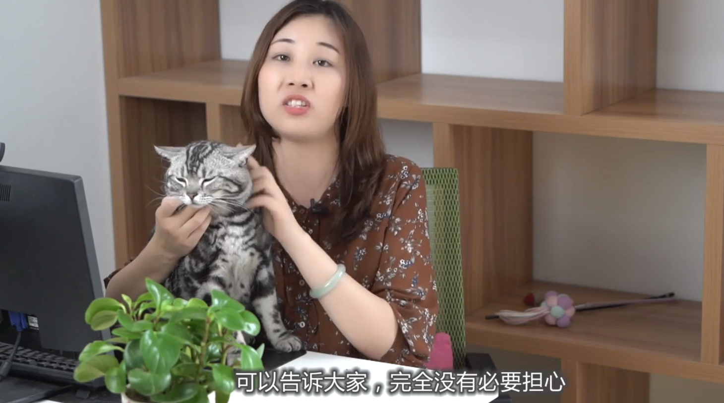 狗狗猫猫都是近视眼吗