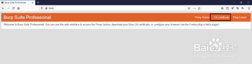 使用Burp Suite抓https数据包