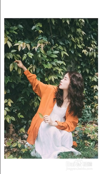 爬山虎如何拍出复古大片