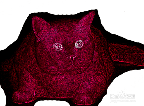 PS如何制作火红猫