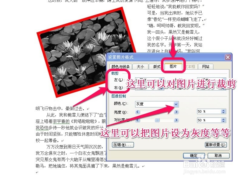 word操作教程：[1]插入图片的设置
