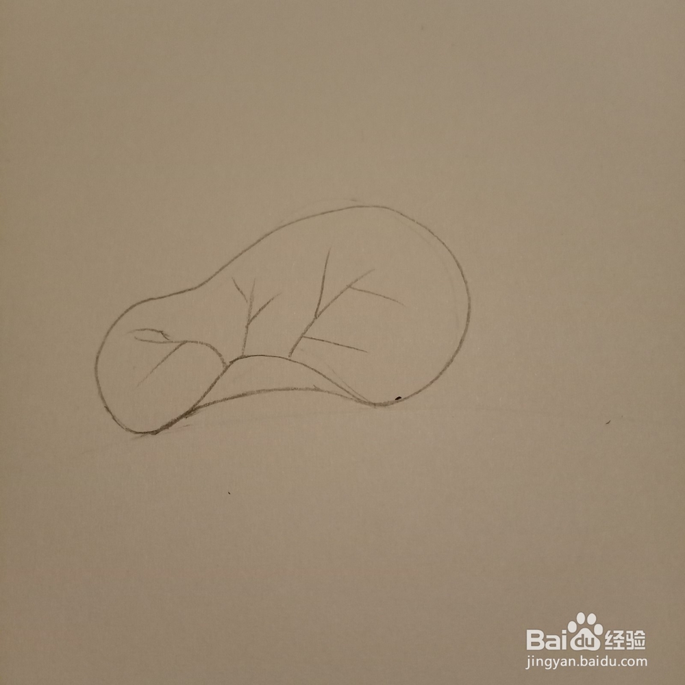 简单随笔画荷叶