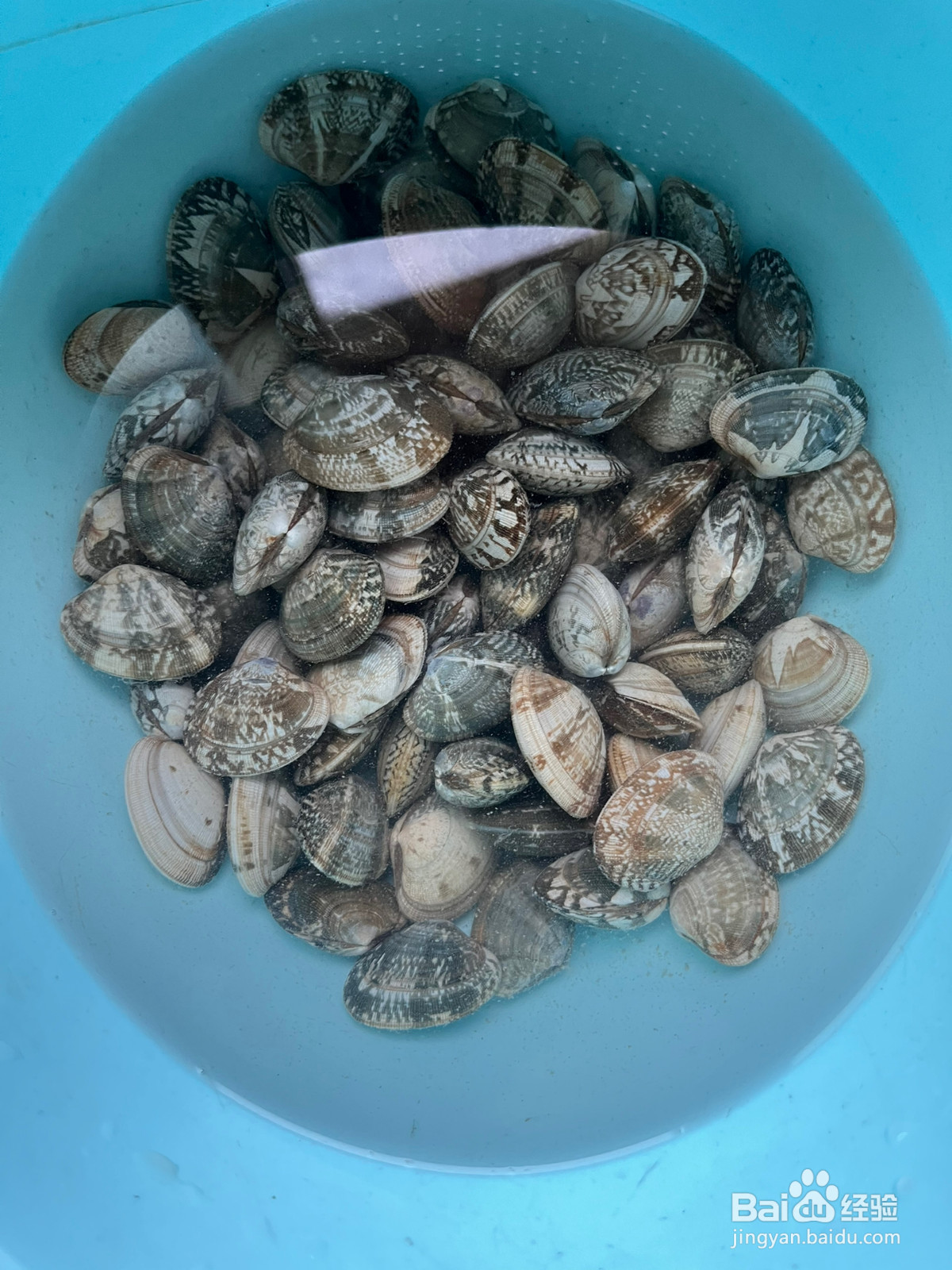 万能丝瓜蛤蜊花甲吃法的做法