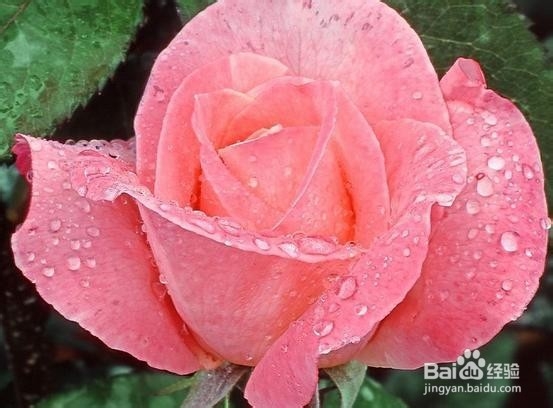 让你一生难忘的话 3