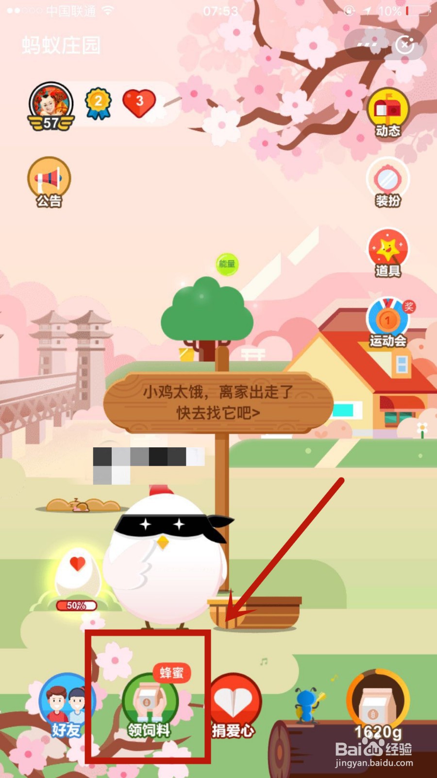 支付宝蚂蚁庄园蜂蜜任务怎么做