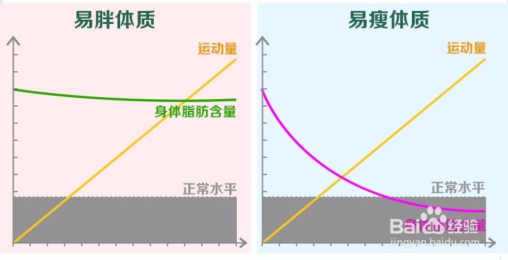 如何进行快速有效的减肥
