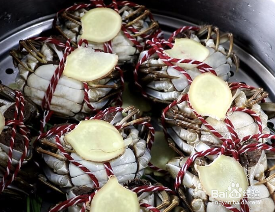 怎么轻松辨别螃蟹公母?以及如何清蒸大闸蟹