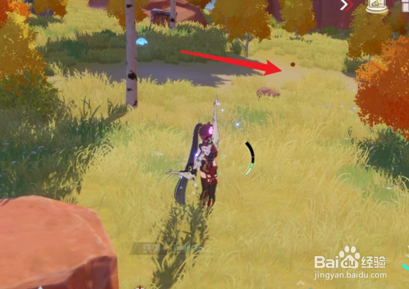 幻塔野猪材料如何获取