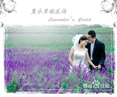 重庆去哪里看花拍婚纱照