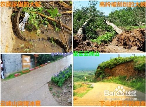 密云云峰山,一个来了就不愿离开的地方!!!