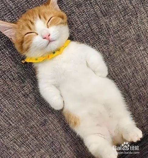 学会减压技巧让生活更美好