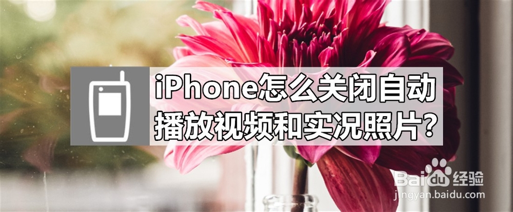 <b>iPhone怎么关闭自动播放视频和实况照片</b>