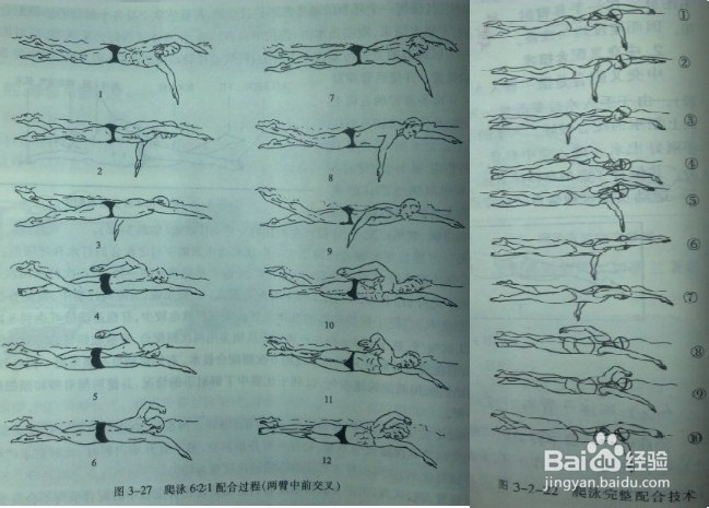 快速掌握游泳技巧：[2]学自由泳的诀窍