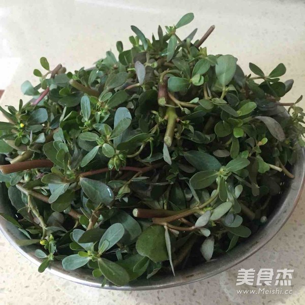 素炒马齿苋的做法