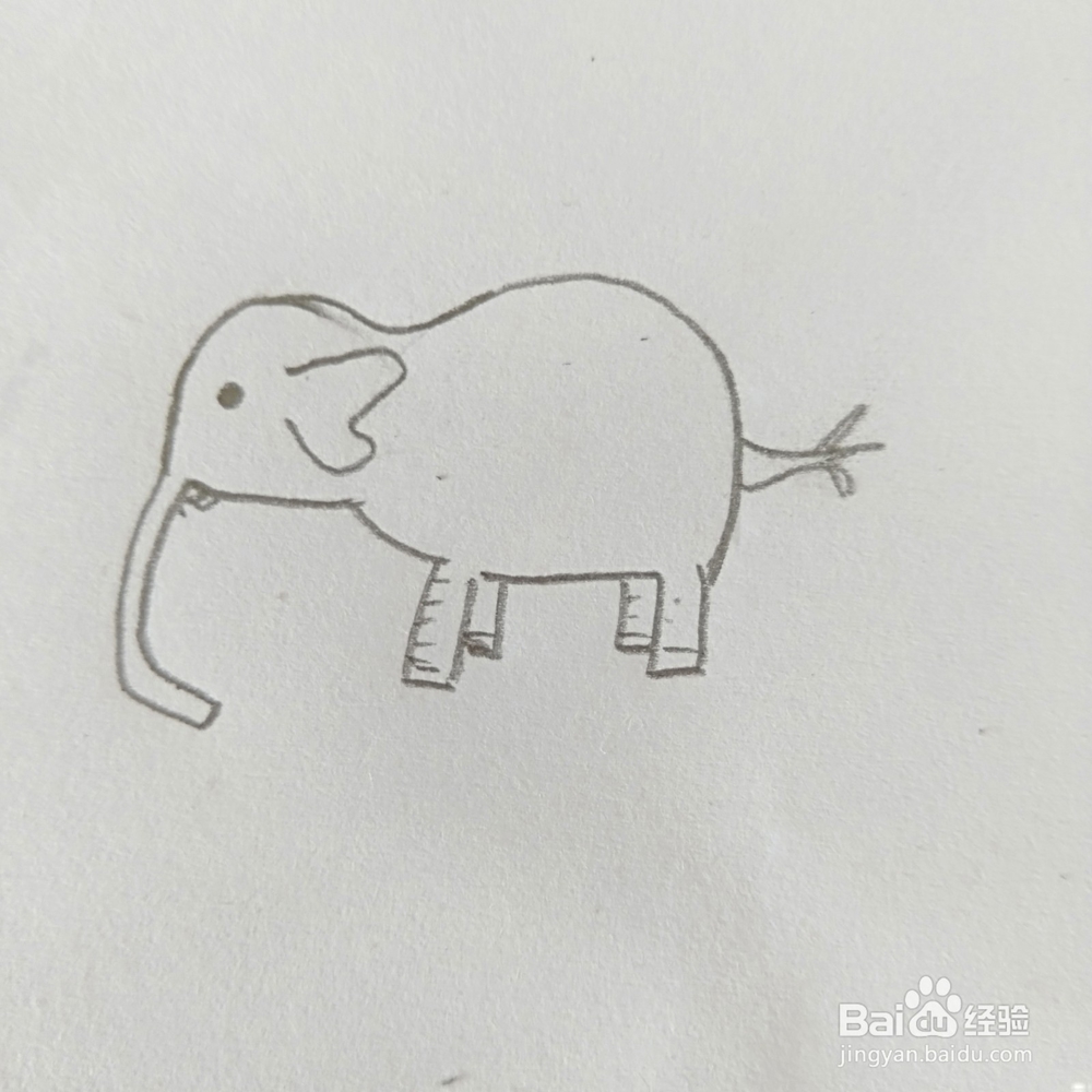 简笔画:可爱小象怎么画