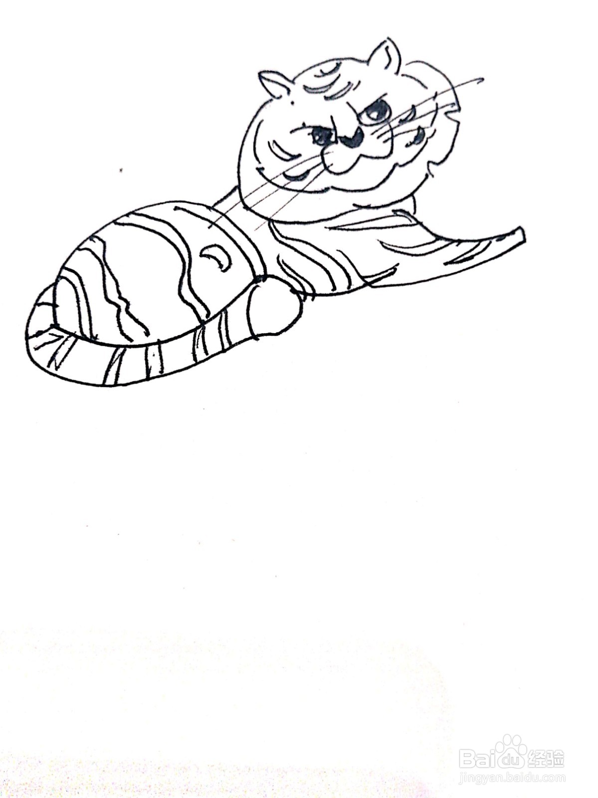 趴着的老虎线描画怎么画