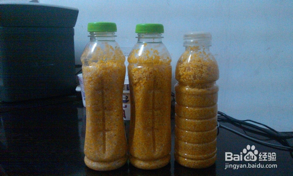 一款钓鲫鱼的酒米窝料