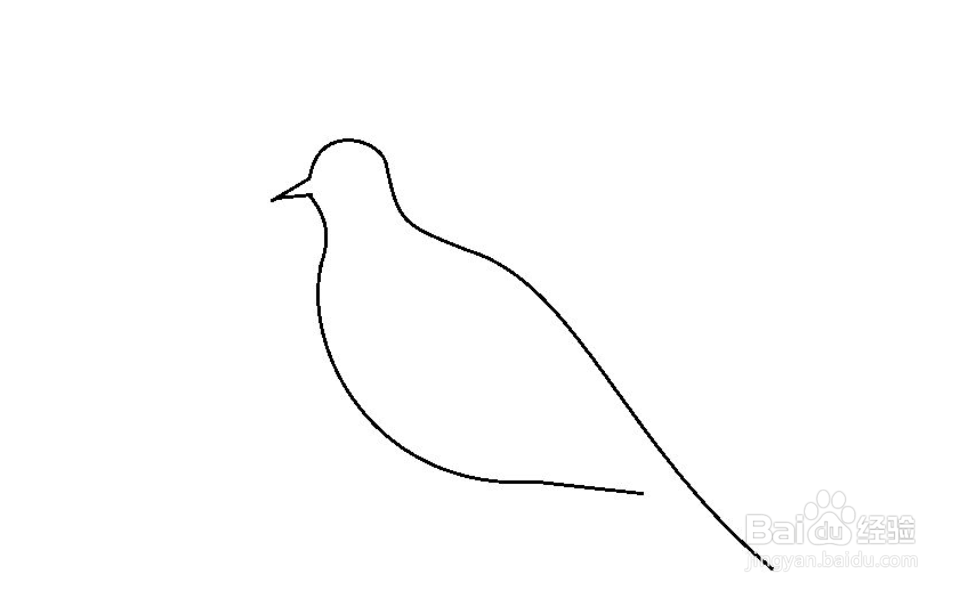 怎么简单画五彩鸟
