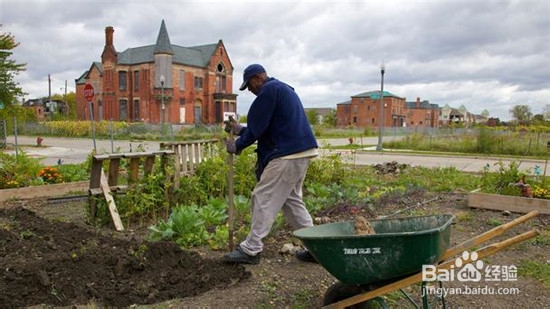 过田园式生活攻略