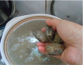 美味的双贝煲冬瓜详细制作过程