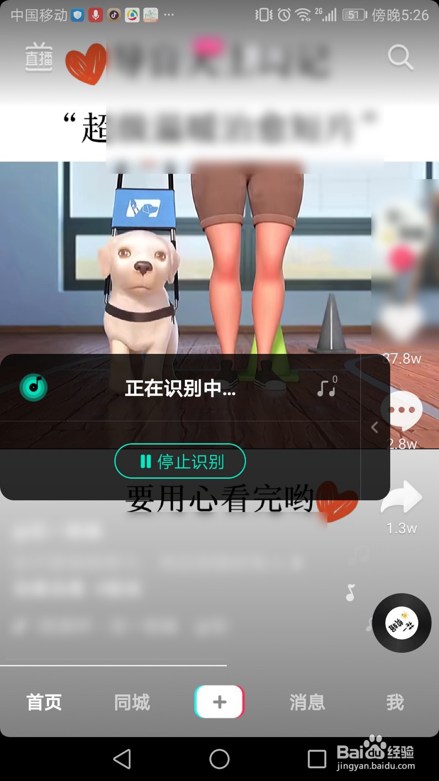 q音探歌怎么用