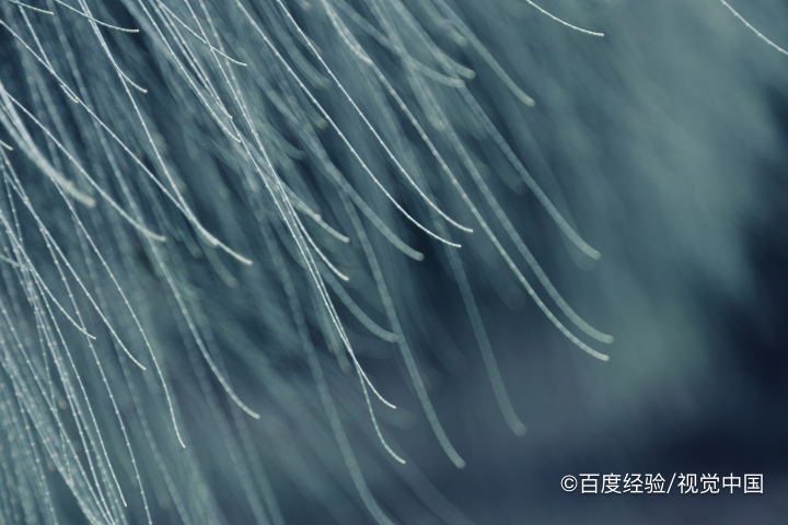 蚕丝衣服怎么洗涤和打理