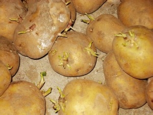 这样的食物千万不能吃