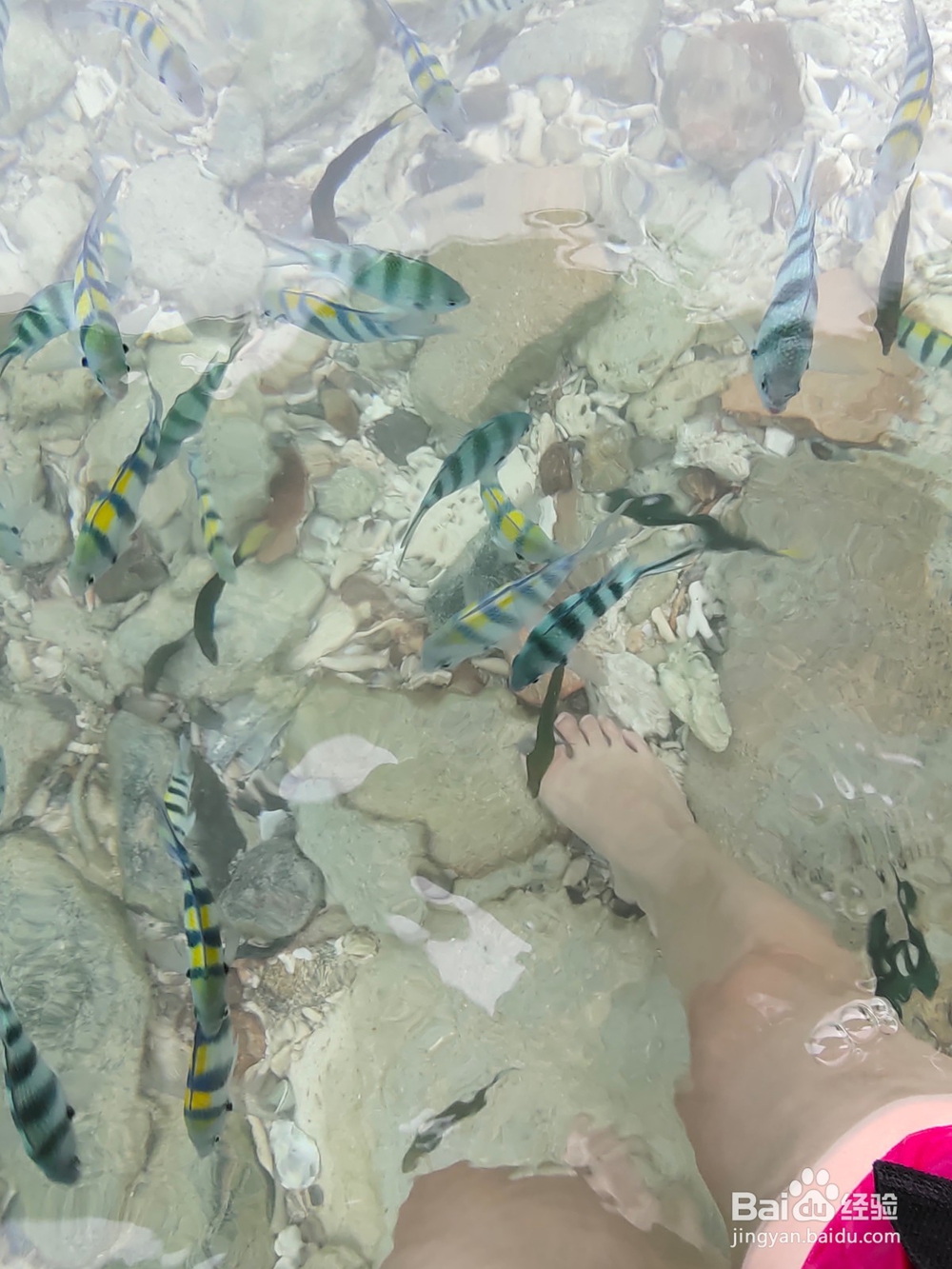 第一出国游马来西亚