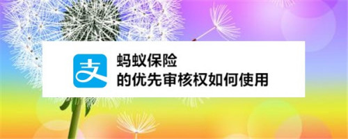 螞蟻保險的優先審核權如何使用