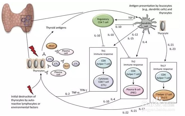 结肠炎的原因是什么？结肠炎是由什么引起的？