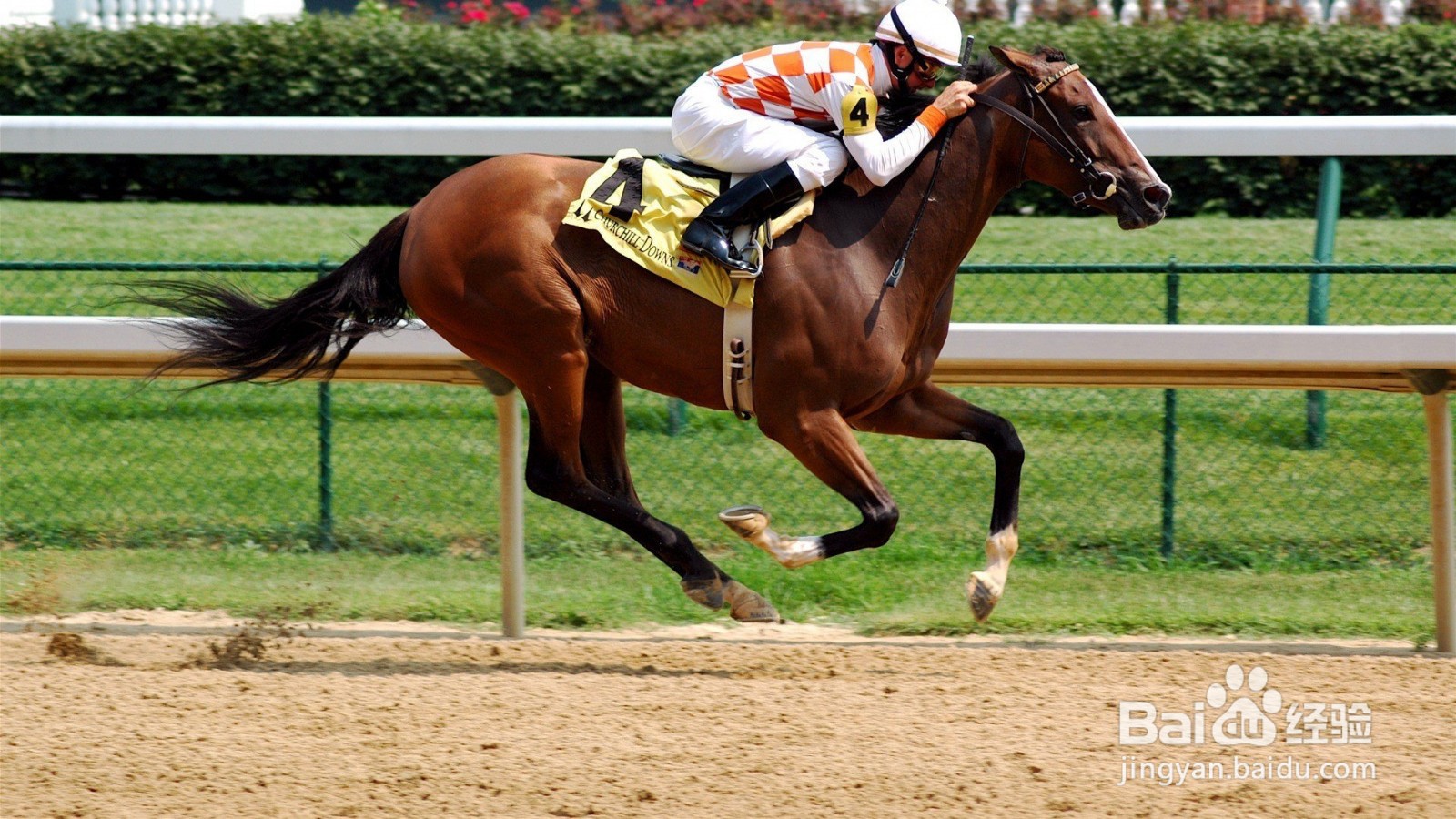 如何控制自己的情绪，有效抑制愤怒？