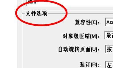 PPT2020如何设置PDF为自动旋转