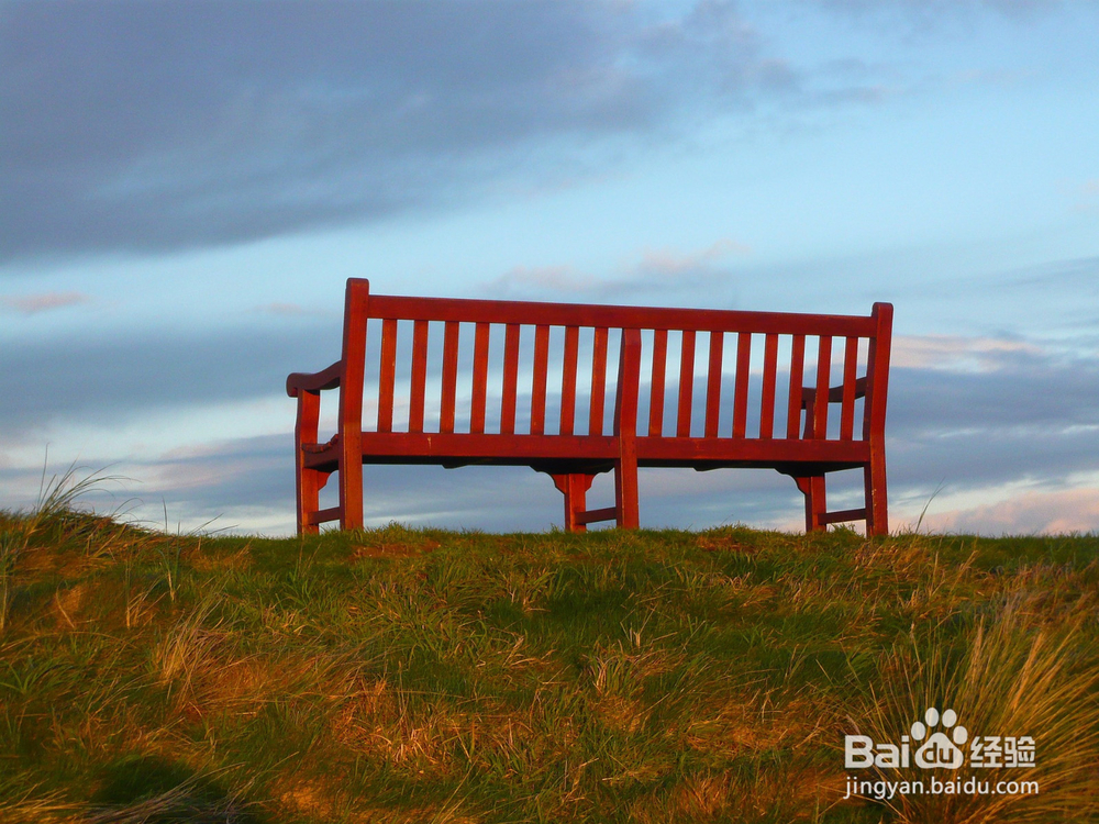 【校园指南】南京林业大学上课占座攻略