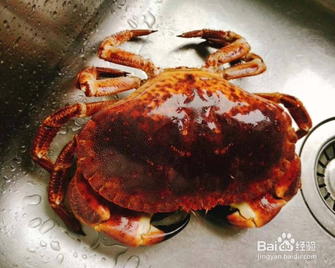 海鲜蟹——咖喱面包蟹