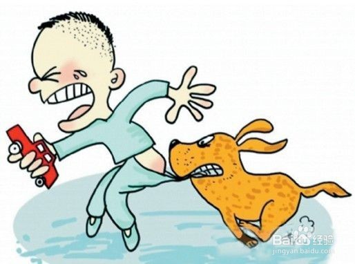 儿童被动物咬伤的注意事项