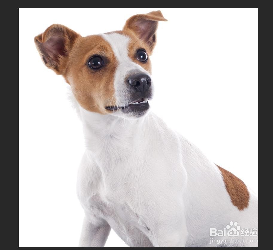 怎样在PS中把图片变成水彩画？