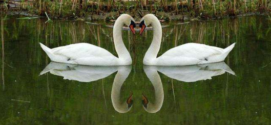 怎样提高手机摄影的水平