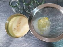 低糖豆乳布丁怎么做