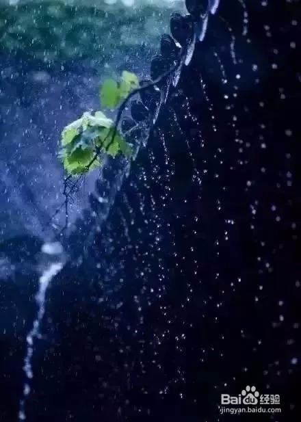 七个摄影小技巧,让你在雨天也能拍出好照片