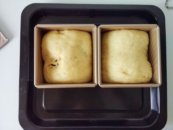 全麦奶香豆沙吐司