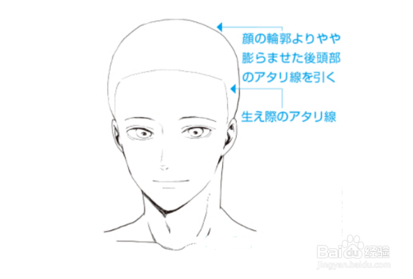 拉出发际的辅助线:以没有头发和脸的头部作为基础,从额头到耳朵上画